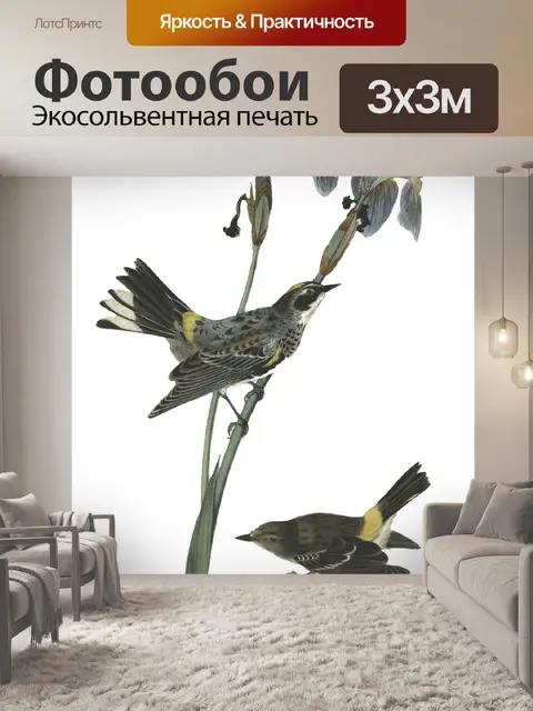 Фотообои Птицы