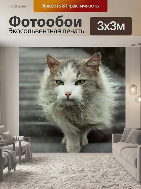 Фотообои Кошка