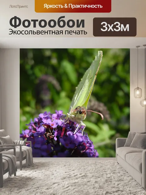 Фотообои Бабочка