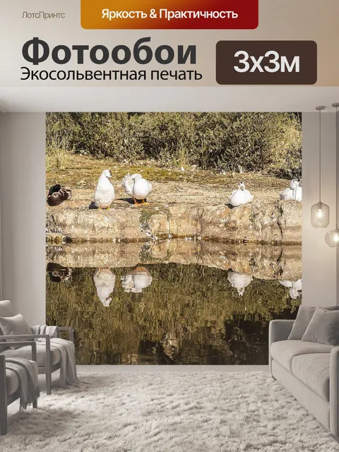 Фотообои Природа