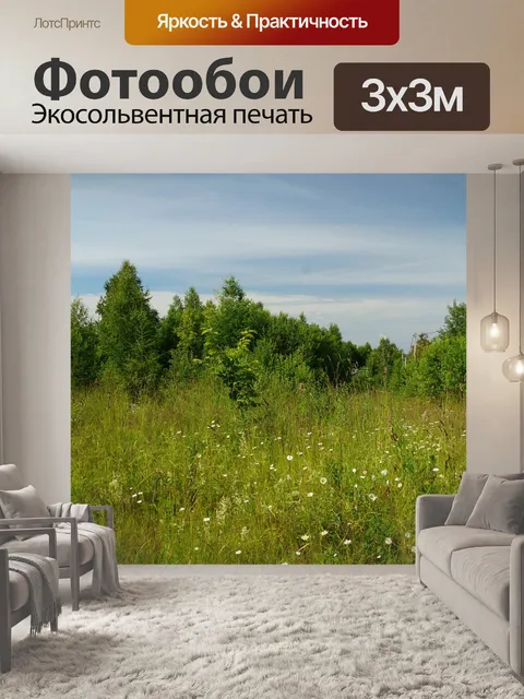 Фотообои Лес