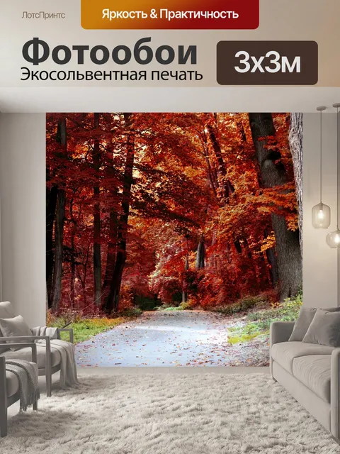 Фотообои Осенний лес путь