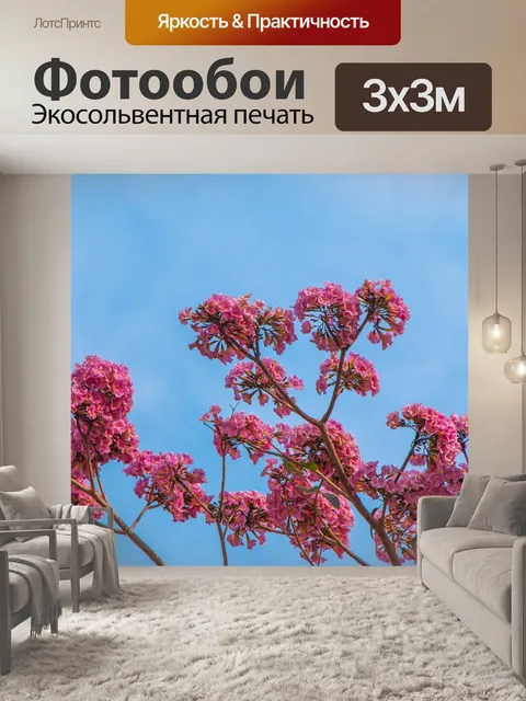 Фотообои Небо