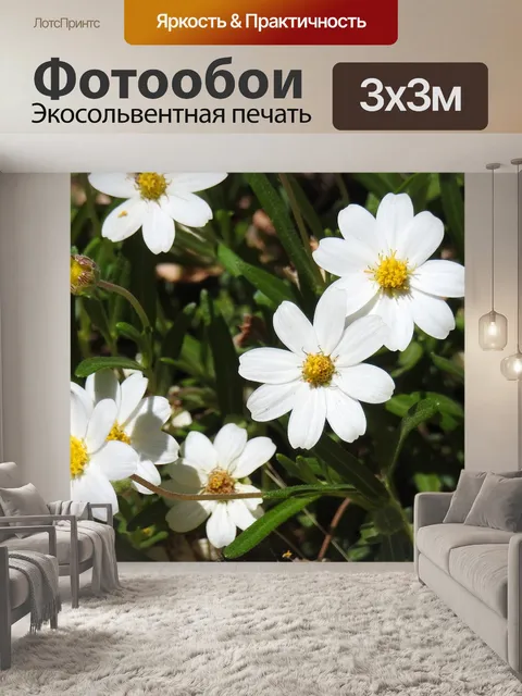 Фотообои Цветы