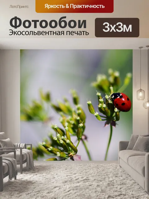 Фотообои Божья коровка