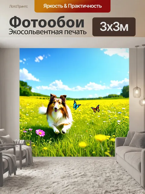 Фотообои открытая луга с зелёной травой и дикими цветами, где шелти охотится за бабочками