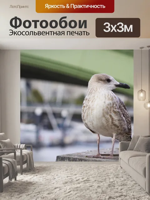 Фотообои Птица