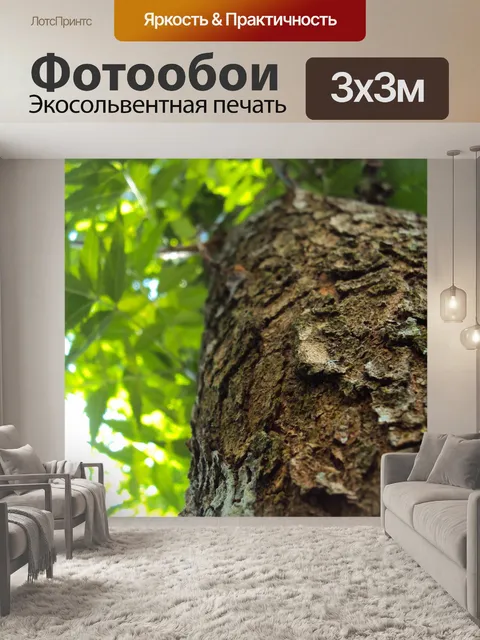 Фотообои Травяные дерева