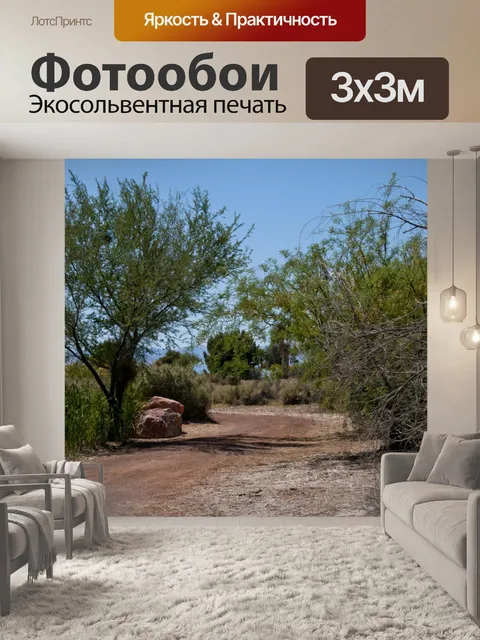Фотообои Путь Пустыни