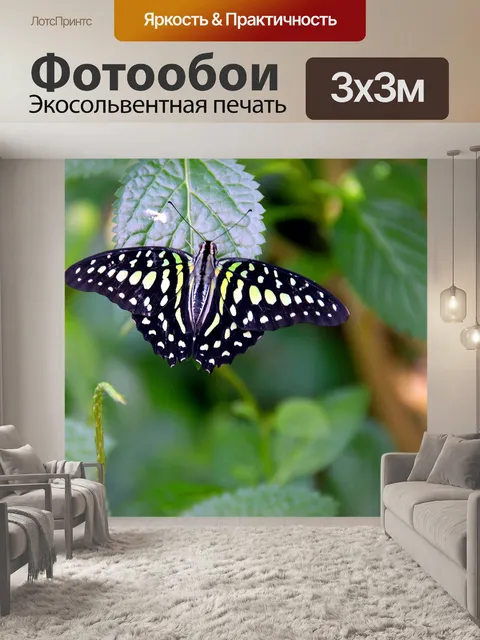 Фотообои Бабочка в саду