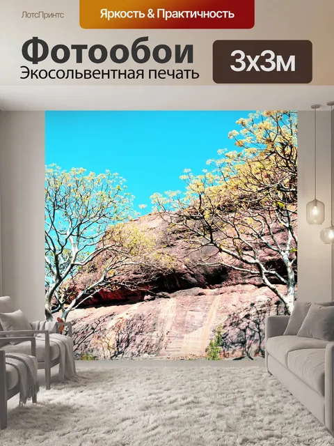 Фотообои Деревья и камни