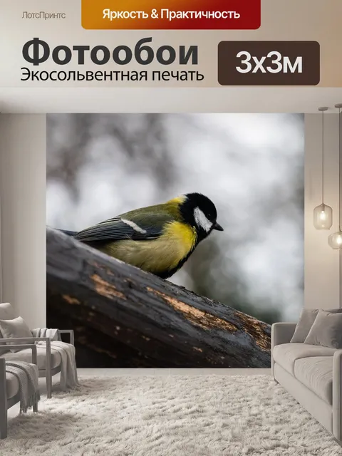 Фотообои Птица