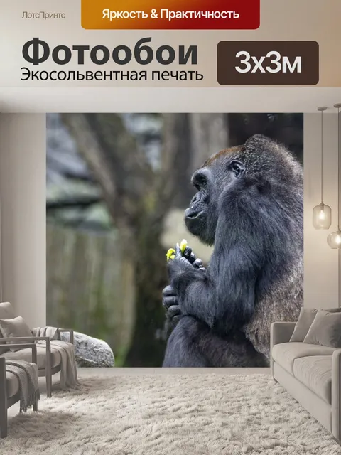 Фотообои горилла