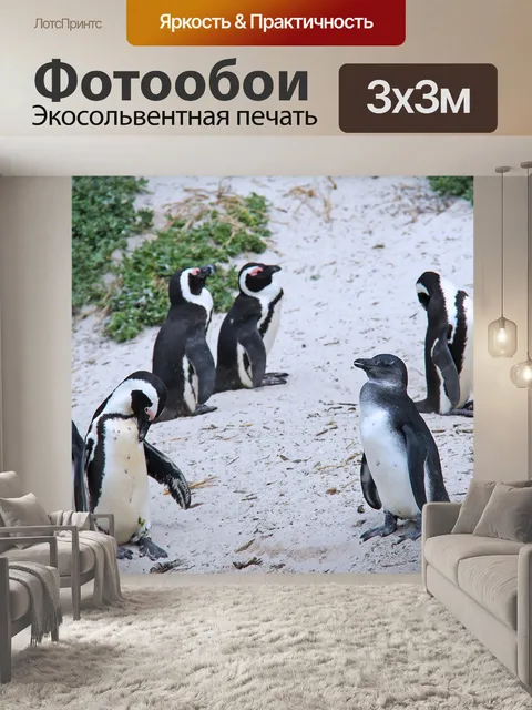 Фотообои Пингвины