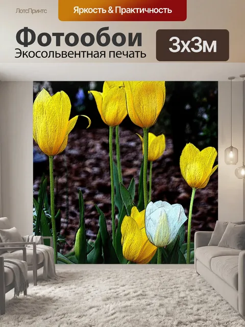 Фотообои Желтые и белые тюльпаны с тиснением