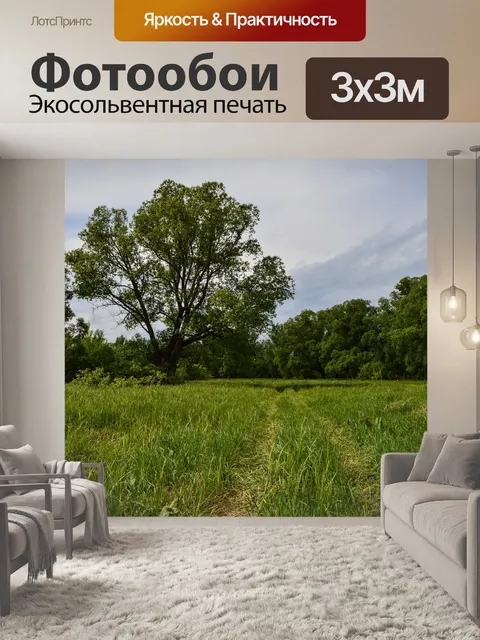 Фотообои Поле