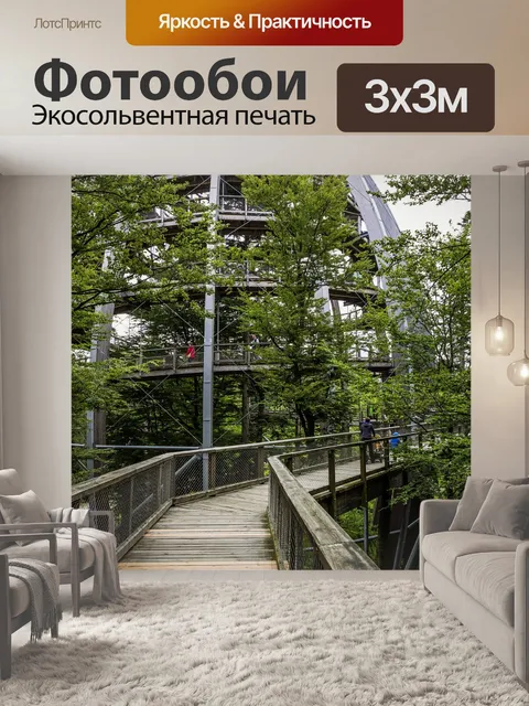 Фотообои Тропинка на верхушках деревьев
