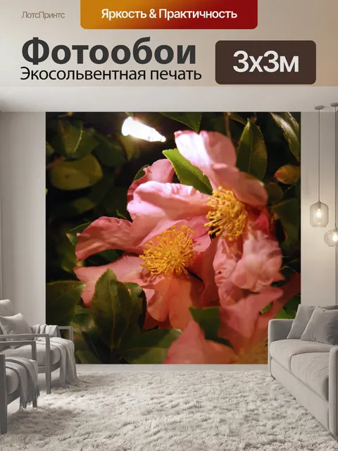 Фотообои Рождественские Цветы