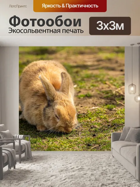 Фотообои Животное