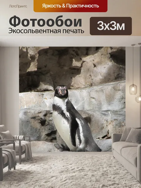 Фотообои Из Penguin CHILLIN '
