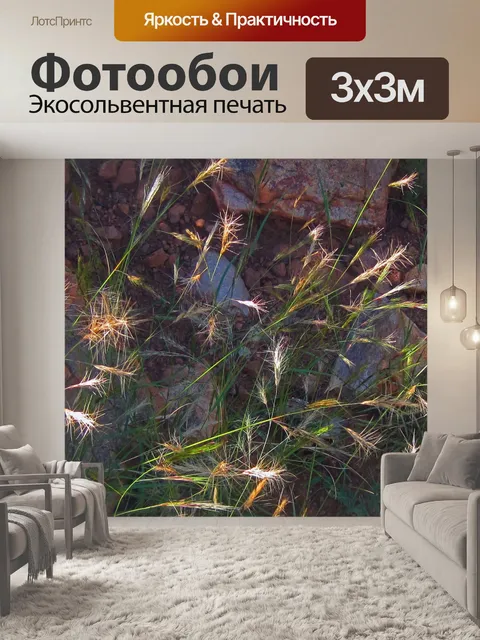 Фотообои Трава с пушистыми перьями