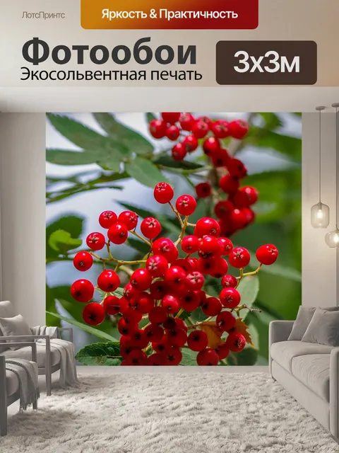 Фотообои Рябина