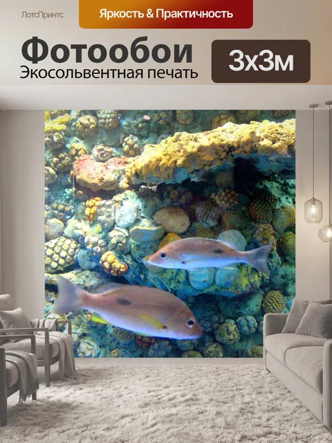 Фотообои Аквариум с рыбками в Срисакете, Таиланд