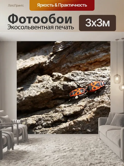 Фотообои Fire bug
