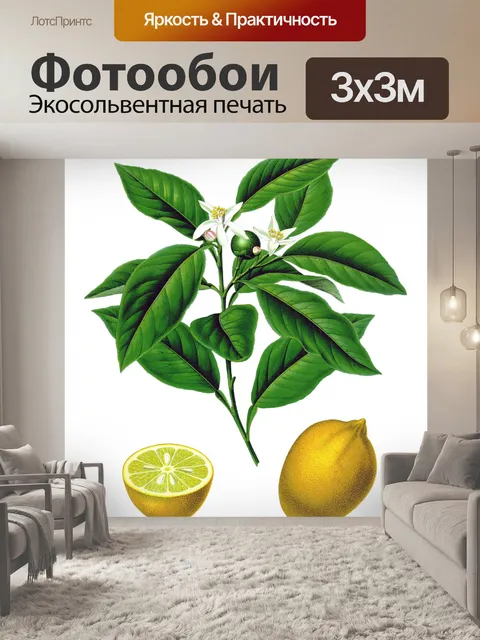 Фотообои Лимонный Фрукт Винтажное Искусство