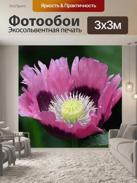 Фотообои Цветок