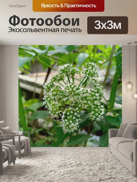 Фотообои Зеленые цветы