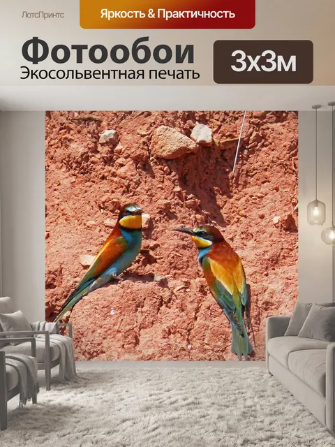 Фотообои Пчелоед