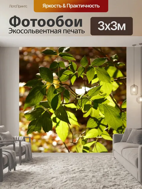 Фотообои Черный старейшина