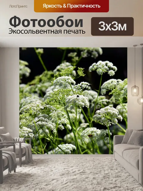 Фотообои Луговой кервель