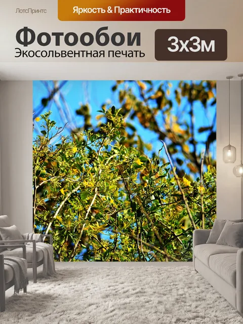 Фотообои кустарник с желтыми цветами
