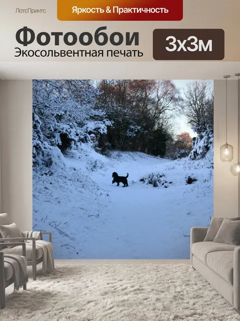 Фотообои Собаки, играющие в снегу