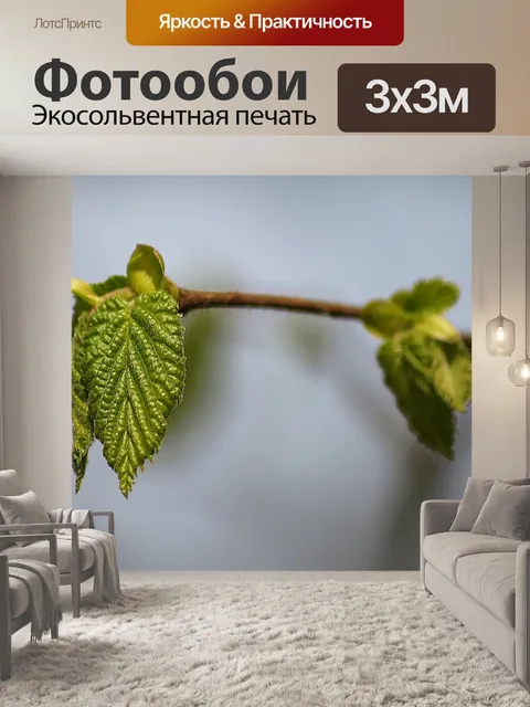 Фотообои Лист