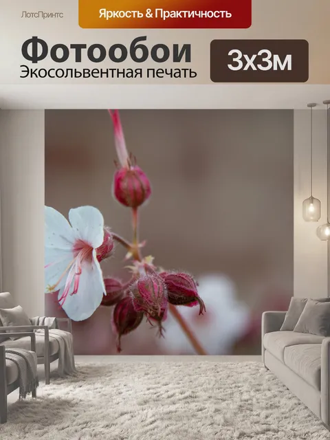 Фотообои Цветок, Герань крупнокорневая