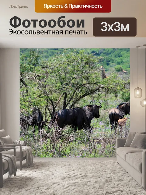 Фотообои GNU стоя в тени