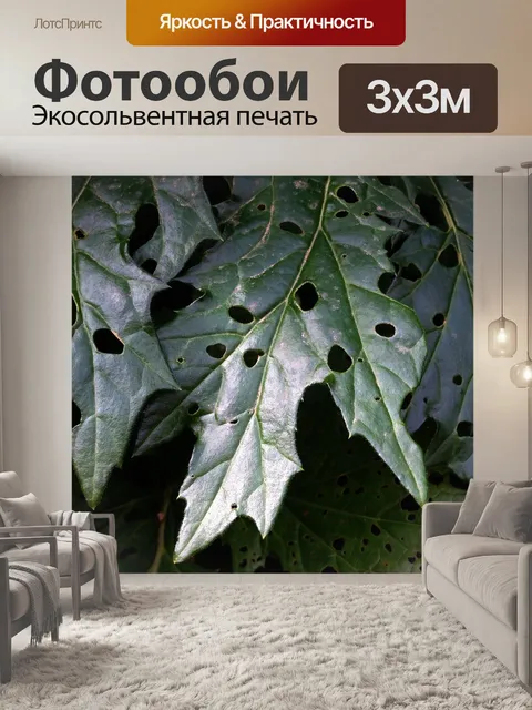 Фотообои Лист аканта