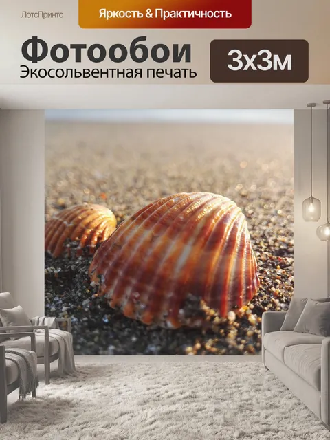 Фотообои Морская ракушка