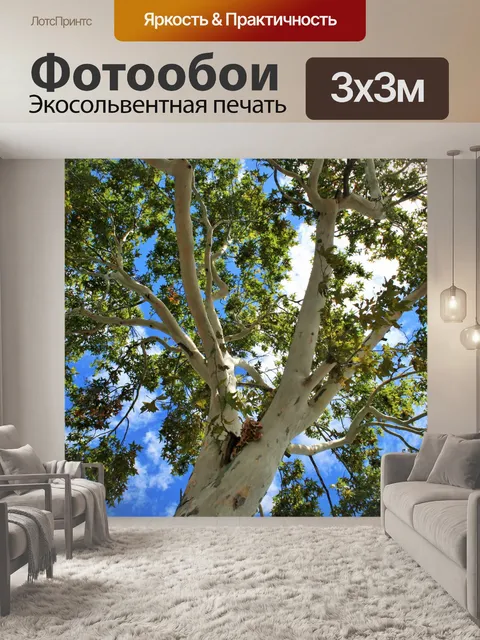 Фотообои клен