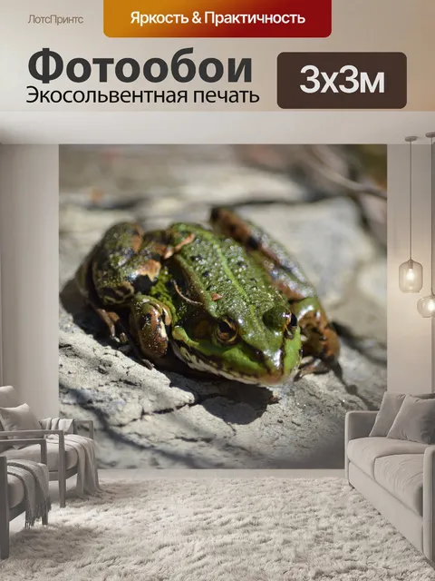 Фотообои Лягушка