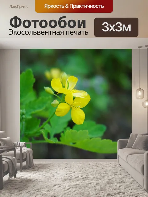 Фотообои Желтые цветы