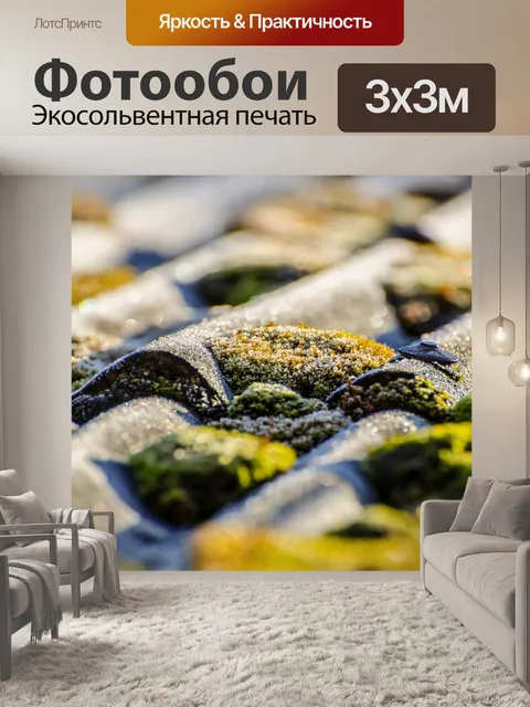 Фотообои мох