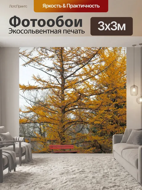 Фотообои Осень