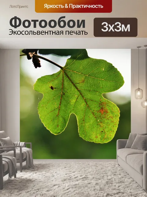 Фотообои фиговый листок против света
