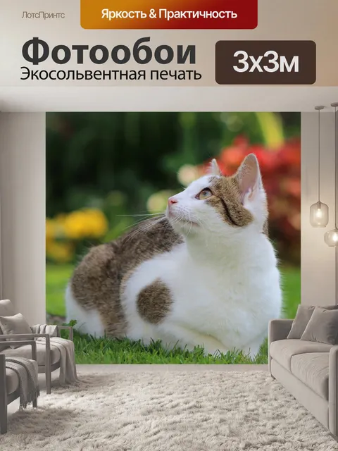 Фотообои Кошка