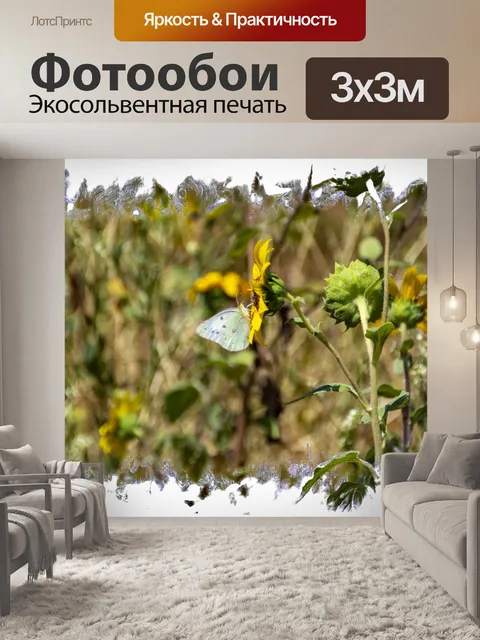 Фотообои Бабочка на подсолнухе
