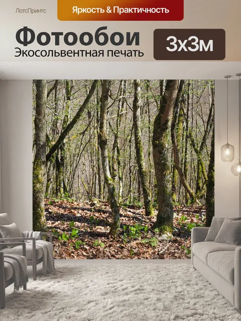 Фотообои Лес